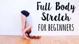 Beginner Stretches for Flexibility [upl. by Debera]