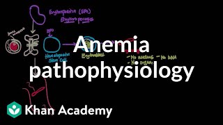 Anemia pathophysiology  Hematologic System Diseases  NCLEXRN  Khan Academy [upl. by Seow]