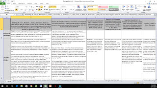 How to Create a Literature Matrix Excel [upl. by Odla]