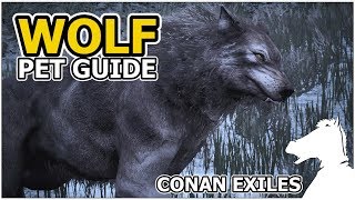 WOLF  Pets Guide  CONAN EXILES [upl. by Ahsonek]