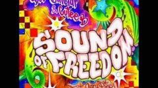 Bob Sinclair  Sound of freedom Singalong [upl. by Ylrak70]