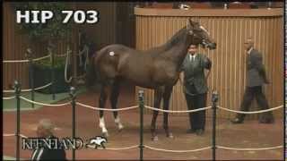 Zenyatta at the 2005 September Yearling Sale [upl. by Acinorav]