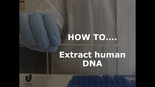 HOW TO extract human DNA buccal swab [upl. by Dej]