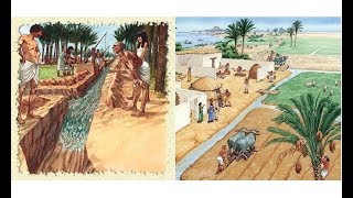 Ancient Egyptian Canals and Irrigation [upl. by Nyberg246]