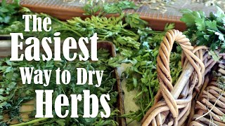 How to Preserve Herbs  4 Ways of Drying Herbs at Home [upl. by Ileek562]