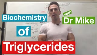 Fatty Acids Glycerol and Lipids  Biochemistry [upl. by Jase]