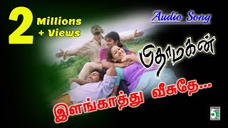 Elangathu Song  Pithamagan  Vikram  Suriya  Ilayaraja [upl. by Ardnuas]