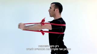 Serratus anterior strengthening Ex 24 [upl. by Anicnarf]