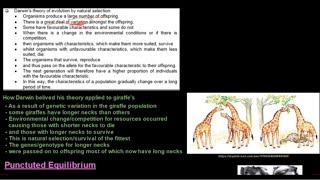 Grade 12 Life Sciences Evolution Part 2 [upl. by Olbap]