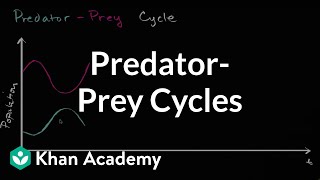 NECA Collection Predator Video Guide – ALL 127 NECA PREDATORS [upl. by Croft]