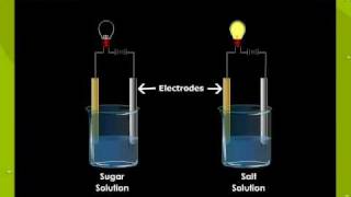 Electrolytes and Non Electrolytes [upl. by Ahsikrats]