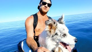 YBS Lifestyle Ep 12  MEET MY DOG  Amazing Whale Encounter And Coral Jacuzzi [upl. by Emoryt]