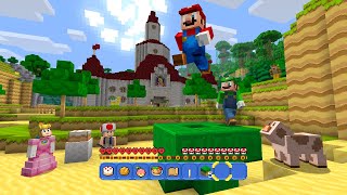 Minecraft  Super Mario Mashup Textures for Java Bedrock [upl. by Gilbert]