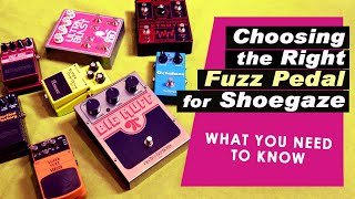 Fuzz amp Distortion Shootout  The Best Pedals for Shoegaze amp Noise Pop [upl. by Neerahs]