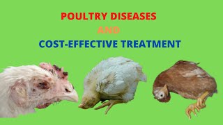 Poultry Diseases Symptoms and Treatment [upl. by Sarat]