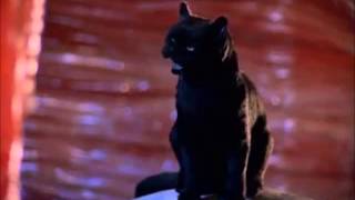 The Best Of Salem Sabrina The Teenage Witch [upl. by Thevenot]