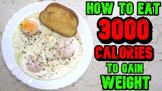 How To Eat 3000 Calories A Day To Gain Weight [upl. by Mapel]