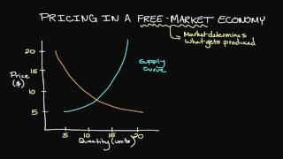 Pricing in a FreeMarket Economy [upl. by Sirovaj]