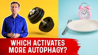 Autophagy Exercise vs Fasting [upl. by Eicats2]