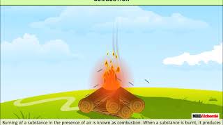 Combustion and Flame  Combustion  Class 8 [upl. by Tap]