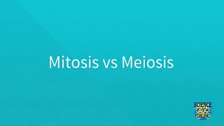 Mitosis vs Meiosis SUPER SIMPLE [upl. by Burkhardt857]