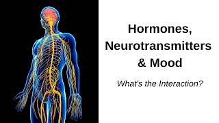 Hypothalamic Pituitary Gonadal Axis  Integrative Behavioral Health [upl. by Naeruat]