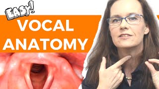 The Singers Cure For Laryngitis Hoarseness Vocal Cord Paralysis and Sore Throats – Dr Berg [upl. by Teraj]