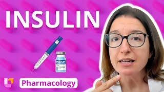 Insulin  Pharmacology  Endocrine System  LevelUpRN [upl. by Monahan]