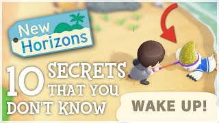 10 SECRETS You STILL Dont Know ACNH Hidden Details  Animal Crossing New Horizons [upl. by Hagan]