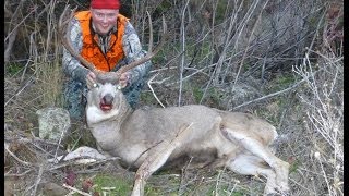 Long Range Mule Deer Buck Hunt  670 Yards  270 WSM [upl. by Meadows]