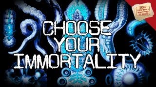 3 Types of Immortality  Digging Deeper [upl. by Strephonn]