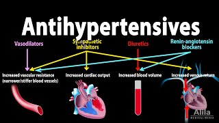 Antihypertensive Medications  Pharmacology Animation [upl. by Leckie]