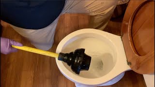 How to use a plunger correctly and use the RIGHT plunger [upl. by Thielen]