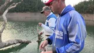 Shasta Lake Spoon Bass [upl. by Eudosia]