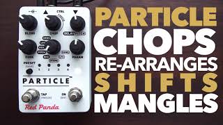 Red Panda Particle 2 Granular Delay Pedal [upl. by Nottarts]