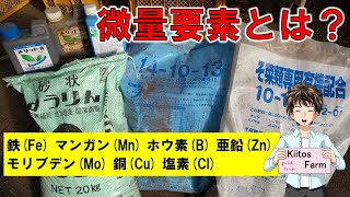 【微量要素について】窒素・リン酸・カリウムほど重要ではないけど、無いと困るんです。 [upl. by Gefen]