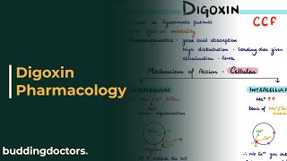 Digoxin  Digoxin mechanism of action  Digoxin toxicity [upl. by Aicemat]