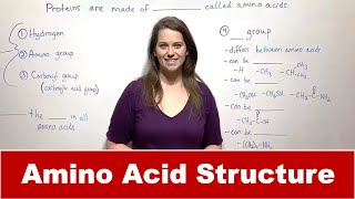 Amino Acid Structure and Bonding [upl. by Faires]