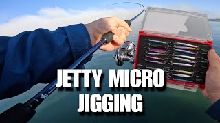 JDM LIGHT TACKLE MICRO JIGGING FOR PELAGICS [upl. by Pudens]