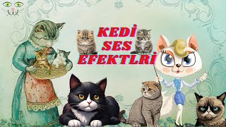 Kedi Sesleri Kedi Miyavlaması Efekti [upl. by Fanny]