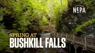 Bushkill Falls Spring 2022 [upl. by Gnihc]