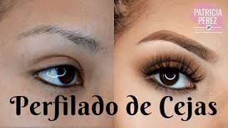 Tutorial de Perfilado de cejas  PASO A PASO [upl. by Kenison]