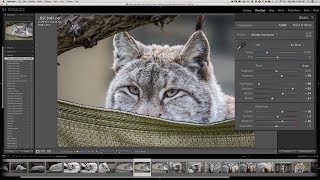 Mastering Lightroom Classic CC 1  Quick Start [upl. by Hodges]