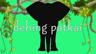 Dehing Patkai  Heavy Budget [upl. by Enyalahs670]