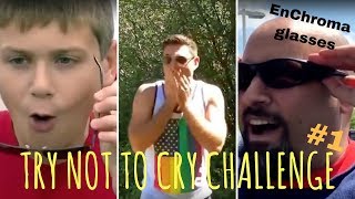 TRY NOT TO CRY CHALLENGE 1 EnChroma glasses [upl. by Emerald]