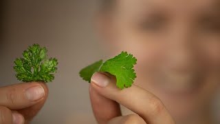 4 minute garnish idea flat fried LEAFY HERBS [upl. by Assirrem]