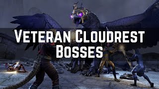 Veteran Cloudrest Boss Guide  Explained by Lunaspear  ESO Trial Guides 1 [upl. by Aleka]