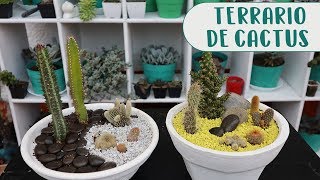 Cómo hacer un terrario con cactus│Candy Bu [upl. by Kinata]