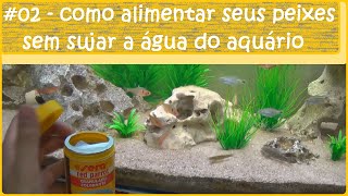 Como alimentar seus peixes sem sujar a água do aquário [upl. by Aikel]