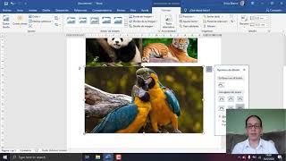 Collage de fotos en Microsoft Word [upl. by Jules]